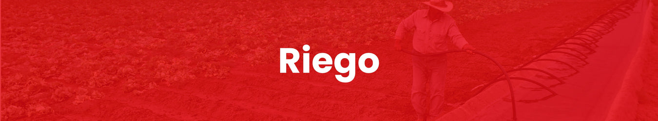 Riego