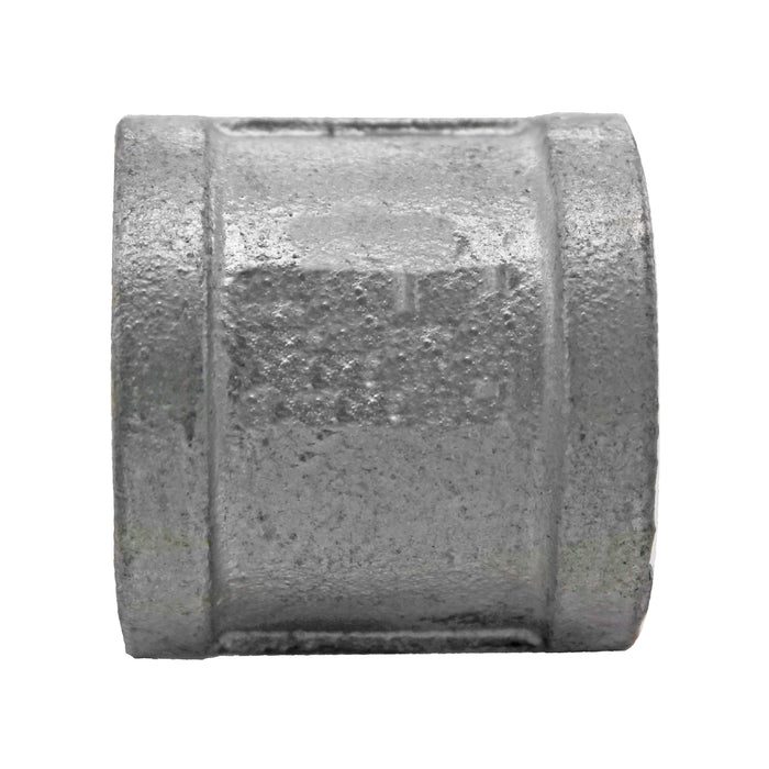 T-CG19