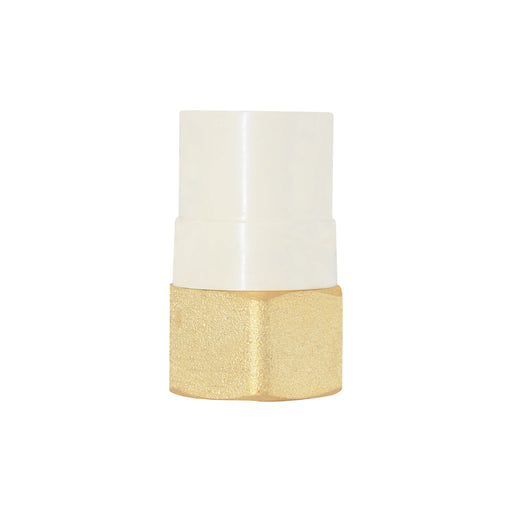 T-CPVC41