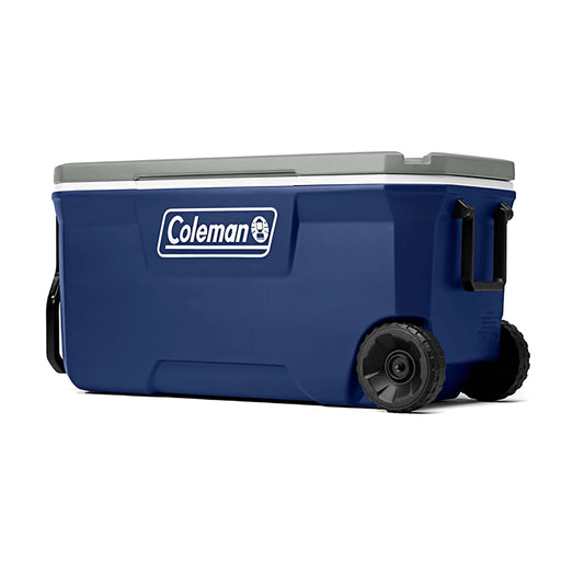 C-H100RAG